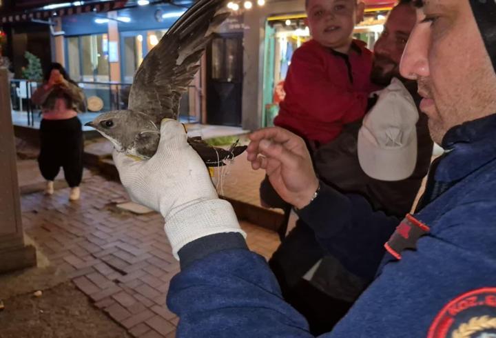 İpe dolanan ebabili kurtarmak için cadde trafiğe kapatıldı