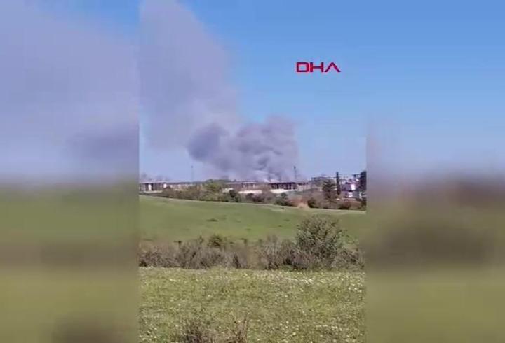 Beykoz'da orman yangını: Müdahale sürüyor