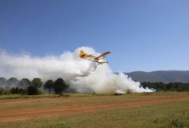 İzmir'de orman yangını tatbikatı