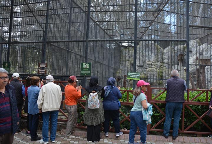 Emekliler doğayla buluştu