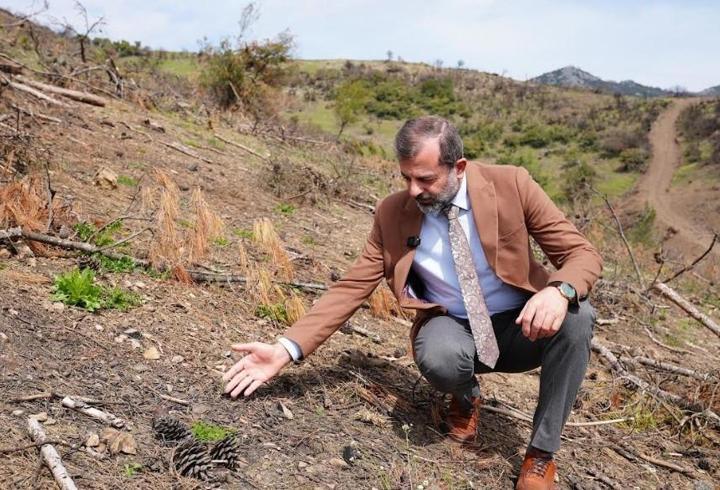 Gürsu Belediye Başkanı’ndan ‘Yeşil Gürsu’ çağrısı