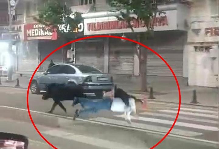 Kent merkezine inen yaban domuzu, 3 kişiyi yaraladı