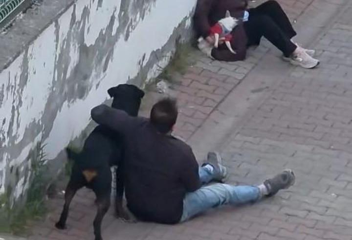 Ümraniye’de ağızlıksız gezdirilen rottweiler, küçük ırk köpeğe saldırdı