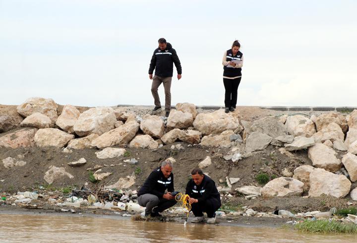 İnci kefalinin üreme göçüne sıkı takip