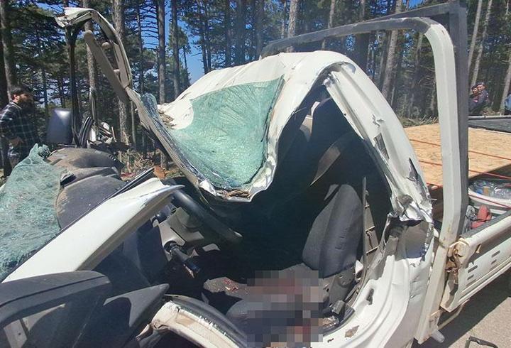 Bursa'da ormanda ağaç kesimi sırasında feci ölüm