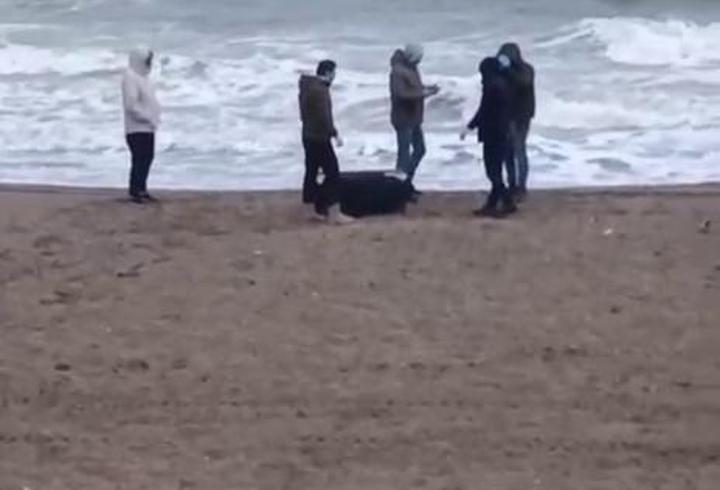 Sahile vuran çantadan 21,5 kilo uyuşturucu çıktı