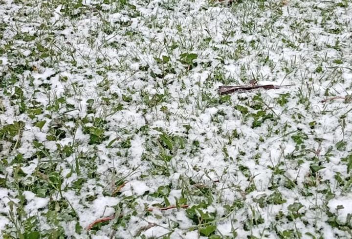 Hocalar'da mayıs ayında kar sürprizi; Bulkaz Dağı beyaza büründü