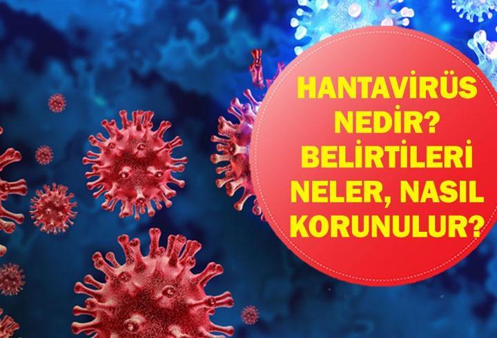 Hantavirüs Alarmı: Hantavirüs Nasıl Bulaşır? Erken Belirtiler Neler, Nasıl Korunulur? MV Hondius Gemisinde Şüpheli Salgın!