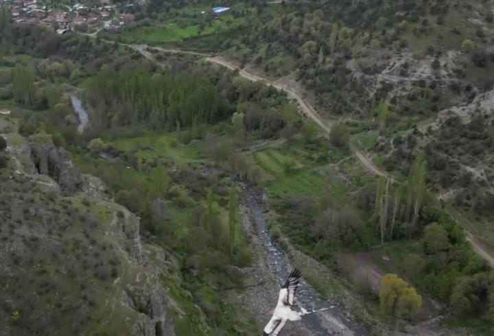 Mısır akbabası yuvasında görüntülendi