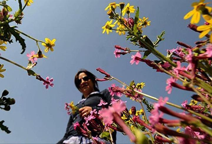 Meteoroloji duyurdu: Soğuk hava yerini bahara bırakıyor
