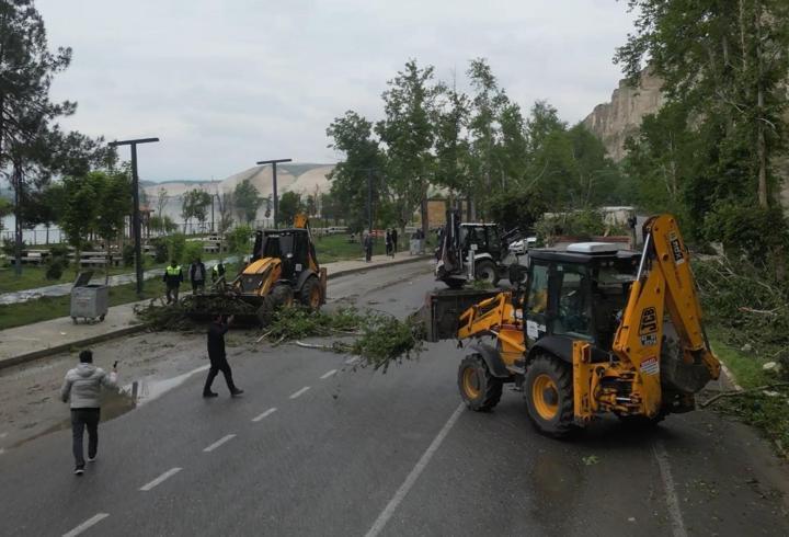 Şanlıurfa'da fırtınada devrilen ağaçlar kaldırılıyor