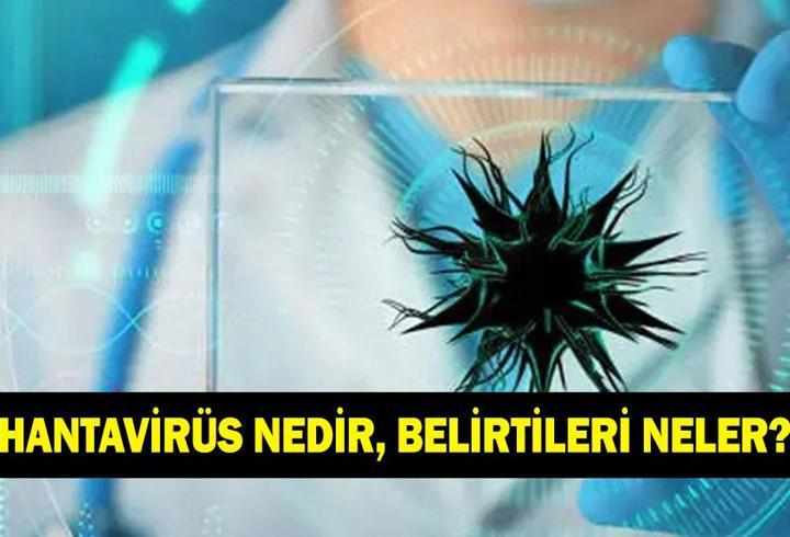 Hantavirüs nedir, belirtileri neler? Hantavirüs bulaşıcı mı, korunma yolları neler?