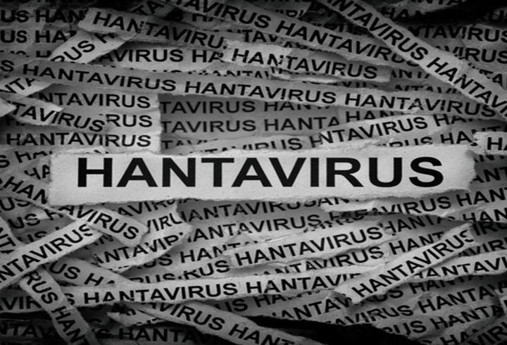 HANTAVİRÜS NEDİR, NASIL BULAŞIR? Hantavirüs Belirtileri Neler? Hantavirüs İnsandan İnsana Bulaşır Mı? Dünya Sağlık Örgütü Ne Diyor?