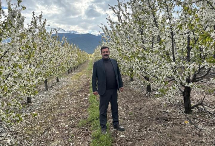 Zirai don endişesi yaşayan üreticiler rahat nefes aldı