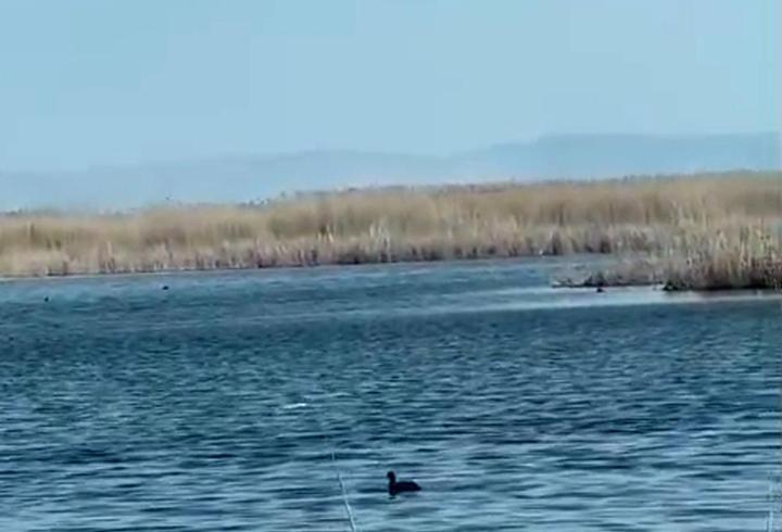 Eber Gölü'nde su seviyesi yükseldi