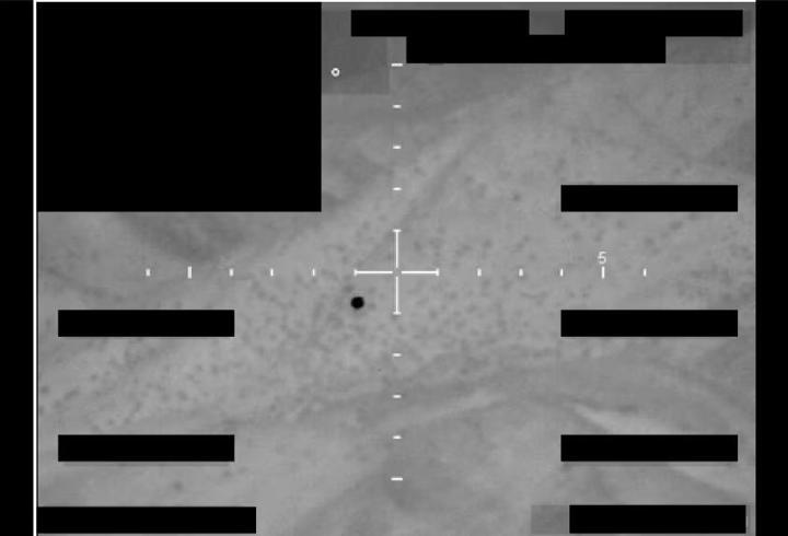 Gizli UFO dosyaları açıldı! Pentagon paylaştı...