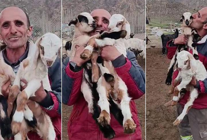 Çobanın oğlaklarına sevgisi yürekleri ısıttı