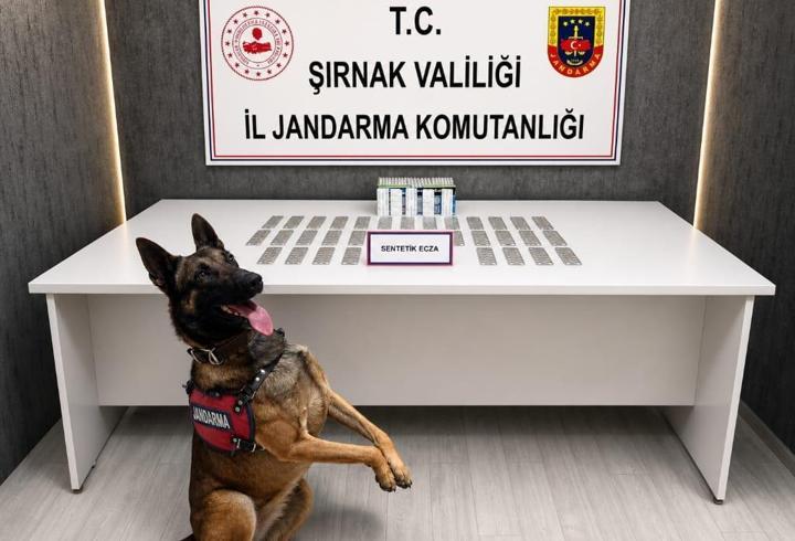 Şırnak’ta 1 haftada kaçakçılık ve narkotik operasyonlarında 145 gözaltı