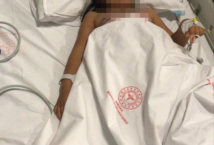 Ankara'da 2 kardeşe saldırıp yaralayan pitbullun sahibi tahliye edildi