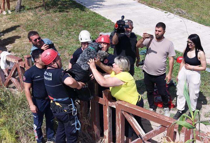 Kedi kovalarken falezlerden düşen köpek, dronla tespit edilip kurtarıldı