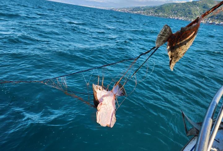 Kalkan av yasağı denetimlerinde 3 bin metre ağa el konuldu