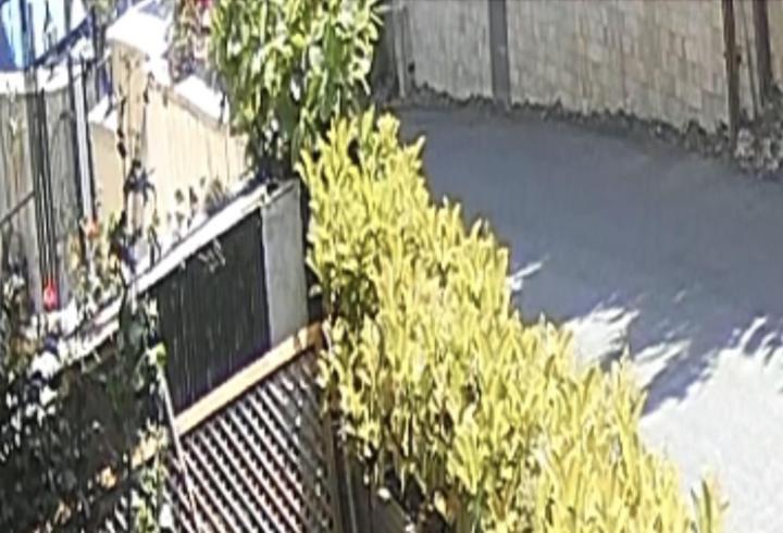 Sarıyer’de 18 yaşındaki ehliyetsiz sürücünün ezdiği işçi hayatını kaybetti