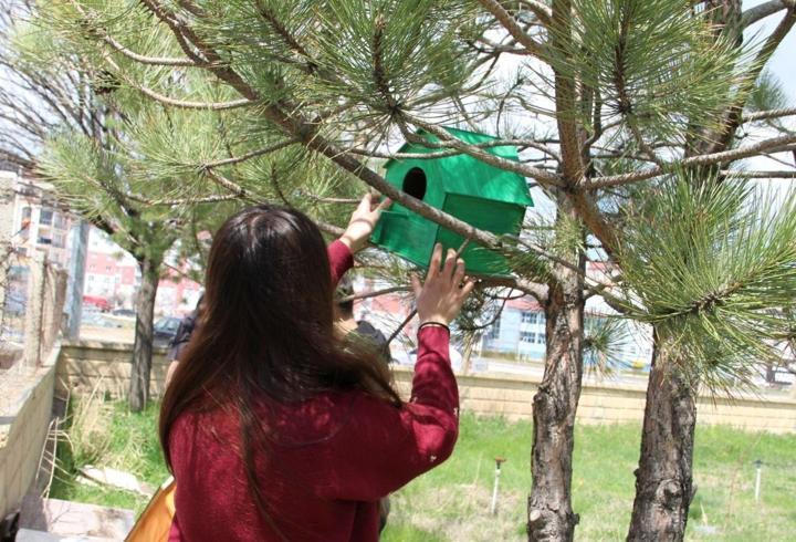 Şarkışla'da kuş ve kediler için yuva etkinliği