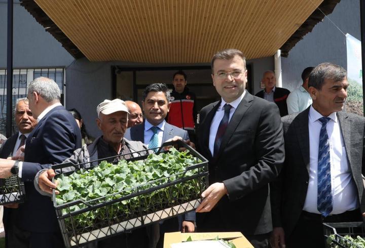 Ata tohum fideleri toprakla buluşuyor