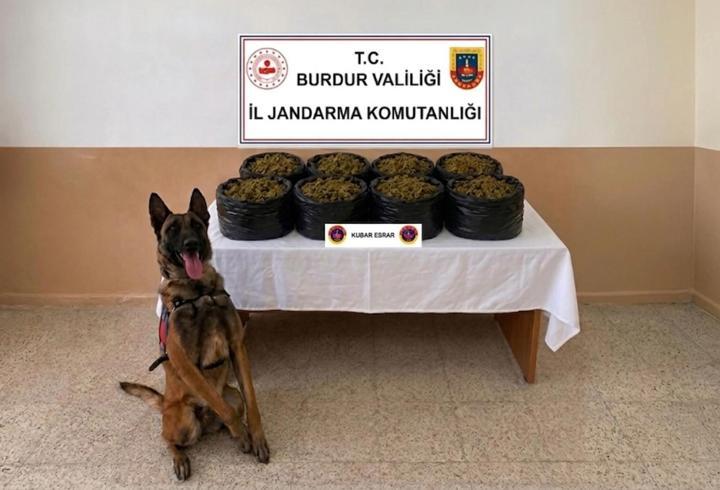 Jandarmadan uyuşturucu operasyonu