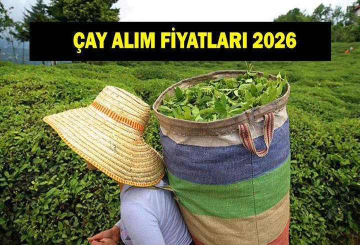 ÇAY ALIM FİYATLARI 2026: Yaş çay alım fiyatı ne kadar oldu? Bakanlık açıkladı