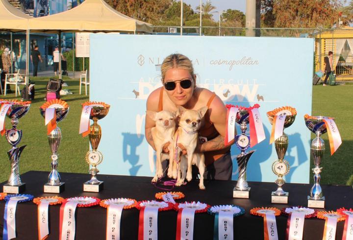 Aladar, 1500 köpek arasında Türkiye şampiyonu oldu