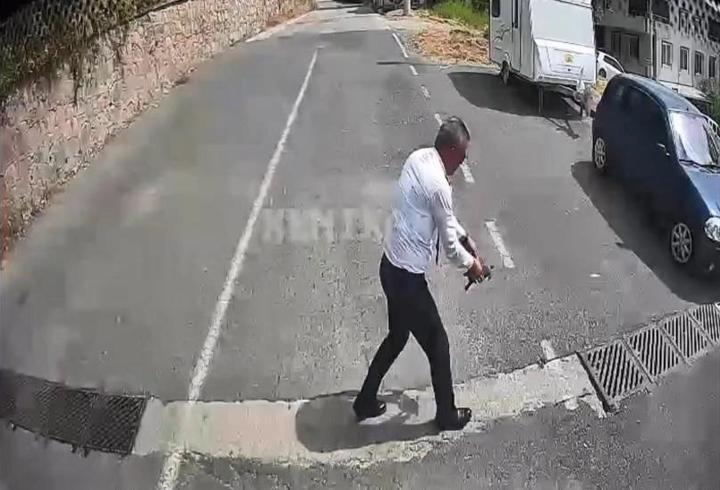 Otobüsü durdurup kaplumbağayı ezilmekten kurtardı