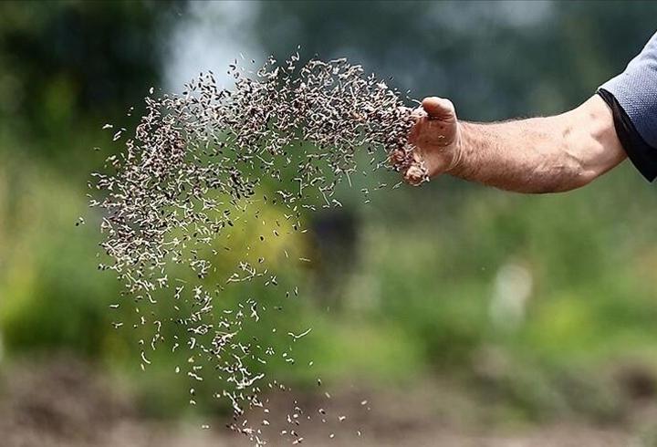 Türkiye’nin sertifikalı tohum ihracatı 20 yılda 8 kat arttı