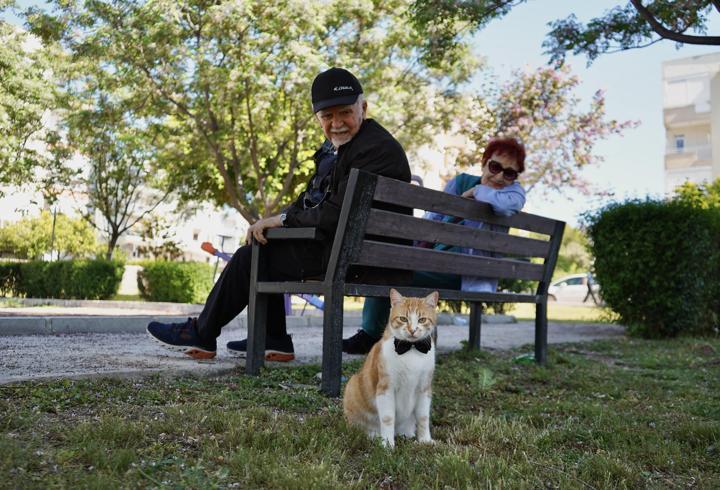Papyonlu kedi 'Foça', emekli çiftin hayatını değiştirdi