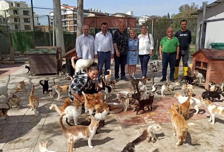 HBB Kedi Bakım ve Rehabilitasyon Merkezi bakıma muhtaç kedilere umut oldu