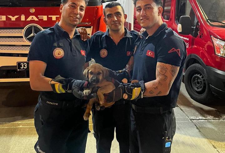 Otomobilin motor bölümünde sıkışan yavru köpeği itfaiye kurtardı