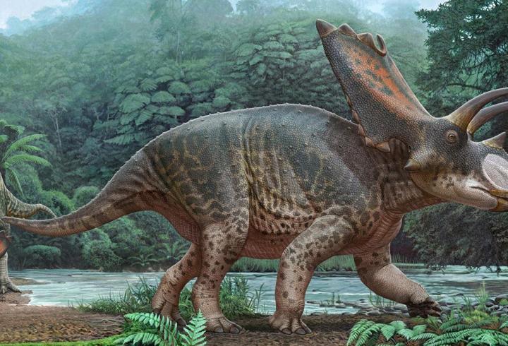 Tayland’da yeni dinozor türü keşfedildi: 27 tonluk dev fosil bulundu