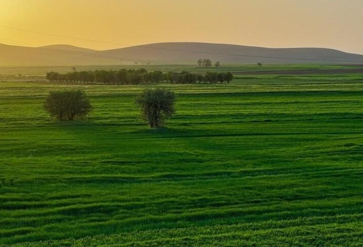 Konya Ovası’nda yağış bereketi: Çiftçinin sulama maliyeti yüzde 80 azaldı