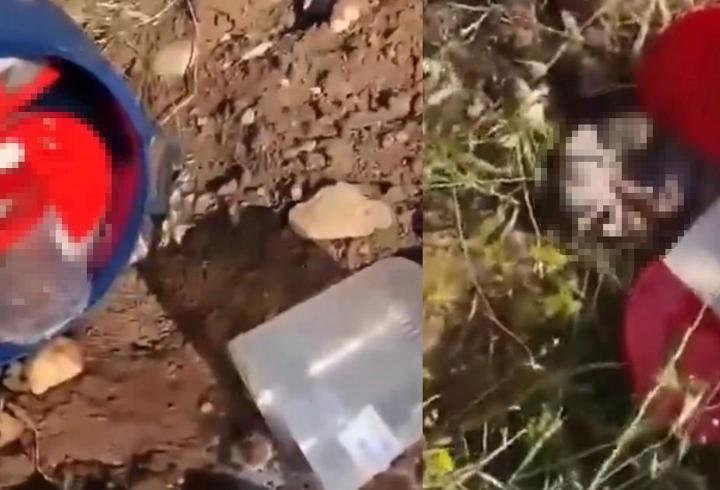 KAN DONDURAN İDDİA! Şanlıurfa’da mezarlıkta varil içerisinde çok sayıda cenin bulundu