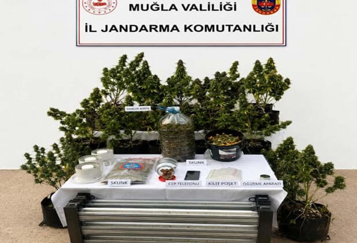 Muğla'da uyuşturucu operasyonlarında 9 tutuklama