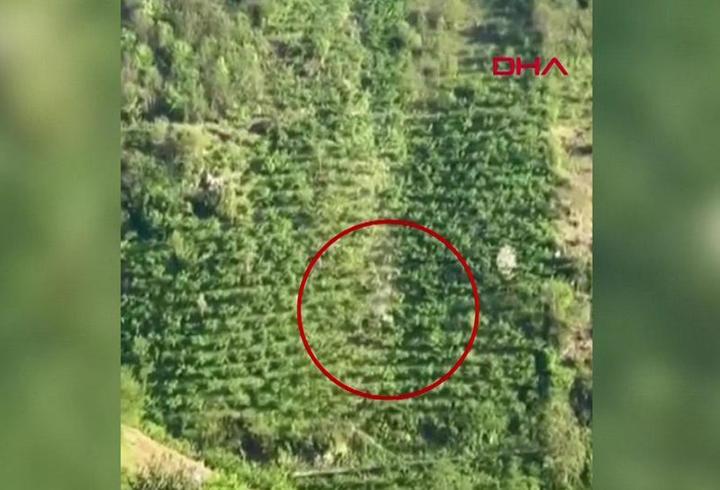 Kamyonet yamaçtan böyle yuvarlandı