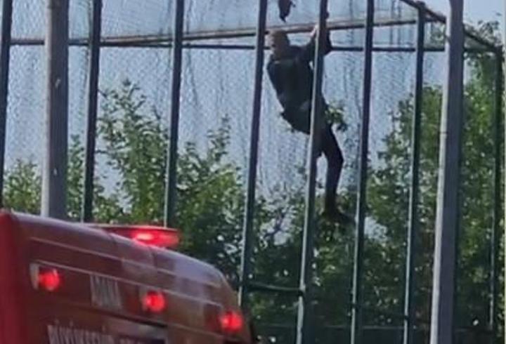Fileye takılan kargayı itfaiye kurtardı