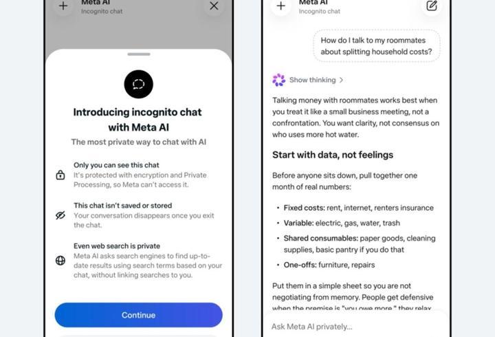 Meta AI ile gizli sohbet özelliğini kullanıma sunacak