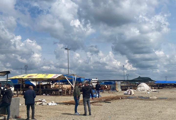 Çerkezköy'de hayvan pazarında taşlı-sopalı kavga; 2 yaralı