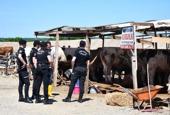 Kurban pazarında kavga: 5 yaralı