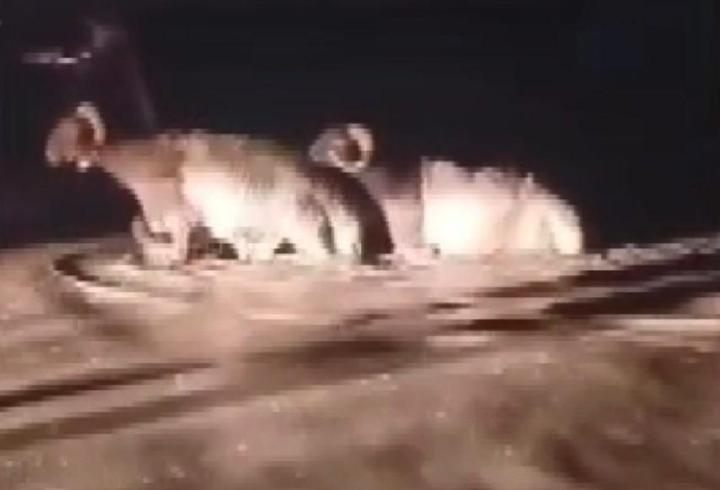 Hatay'da sağanak; hayvan pazarını su bastı