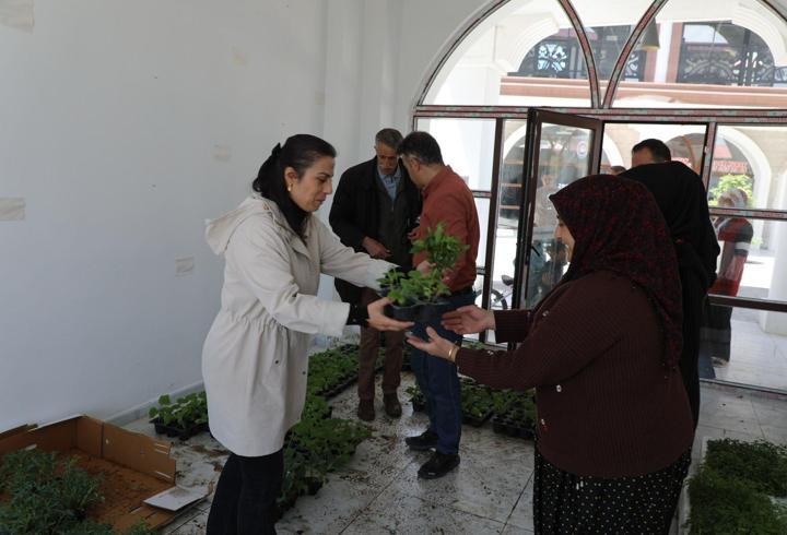 Tuşba Belediyesi’nden vatandaşlara ücretsiz fide desteği