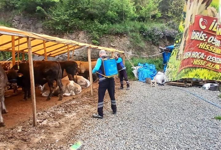 Trabzon'da kurban satış ve kesim alanları dezenfekte edildi