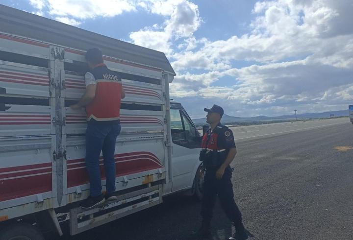 Kurbanlık denetimleri sürüyor