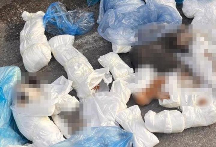 ’33 ölü kedi’ vahşetinde yeni gelişme! Yeniden gözaltına alındı